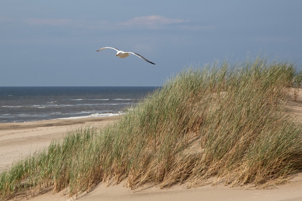 Hotel Two Brothers Noordwijk Beach